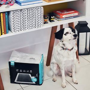 Tapis absorbants écologiques et biodégradables personnalisés IP67 étanches pour chiens et chats, avec couche en fibre de charbon de bambou et fonction anti-vibration, design tendance - Product Image 4