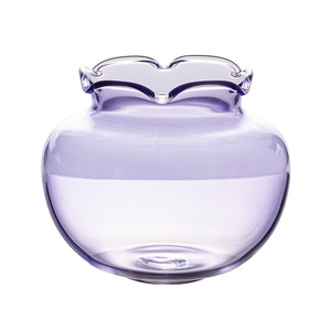 Florero de Vidrio Estilo Chino, Recipiente para Plantas Hidropónicas, Vidrio de Borosilicato de Alta Calidad, Decoración de Escritorio con Vegetación - Product Image 5