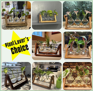 <span class=keywords><strong>Terrarium</strong></span> en verre <span class=keywords><strong>pour</strong></span> plantes de bureau - Vase à 3 bulbes avec support en bois massif rétro et support pivotant en métal - Product Image 6