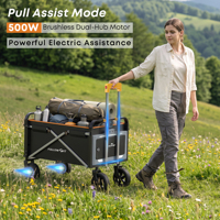 Carrello Elettrico Pieghevole da Esterno FollowFit X2 FE con Motore da 500W e Telecomando per Campeggio, Shopping e Viaggi