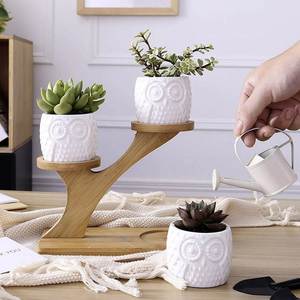 Pequeño Soporte de Bambú Moderno de 3 Niveles para Plantas, Estante para Ventana, Soporte para Flores, Regalo para Amantes del Jardín, Balcón o Patio - Product Image 2