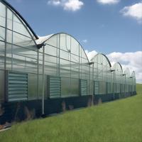 Grande serre monocouche en polycarbonate avec structure en acier galvanisé à chaud multi-travée pour l'agriculture hydroponique