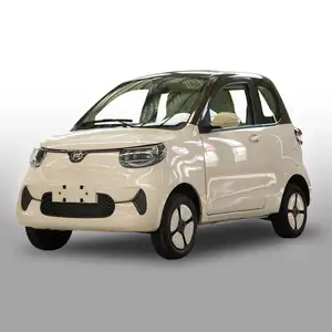 100KM/H 2 Seater 2 Door Mini Adult Electric Mini Car 2 Seat Electric Mini Car