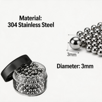 Proveedor de Bolas de Limpieza de Acero Inoxidable de Primera Calidad para Marcas Globales de Limpieza