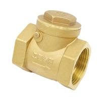 Clapet anti-retour horizontal en laiton de haute qualité DN15-DN50 pour eau, dispositif anti-refoulement, joint EPDM durable