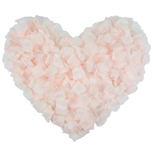 Pétalos <span class=keywords><strong>de</strong></span> rosa roja Pétalos <span class=keywords><strong>de</strong></span> Rosa Fiesta <span class=keywords><strong>DE</strong></span> BODA Pétalos <span class=keywords><strong>de</strong></span> flores <span class=keywords><strong>de</strong></span> Rosa Flor <span class=keywords><strong>de</strong></span> seda artificial Decoración del día <span class=keywords><strong>de</strong></span> San Valentín - Product Image 3