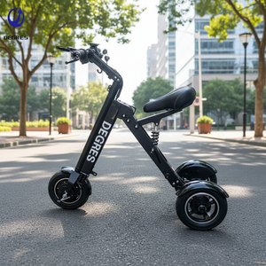 Tricycle électrique pliable et portable à 3 roues, scooter électrique pliable 250W pour les déplacements et les trajets quotidiens - Product Image 1