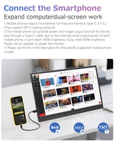 Draagbare monitor 15,6 inch 1080P USB-C ultradunne reismonitor met standaard voor laptop, switch en gaming, IPS scherm