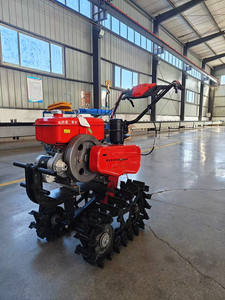 Offre spéciale Prix bon marché Machine de découpe d'herbe Machine de labourage et de hersage Motoculteur agricole - Product Image 6