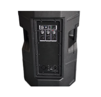 Amplificateur V5115 15 pouces TWS DSP classe D système de haut-parleurs PA actif avec connexion BT