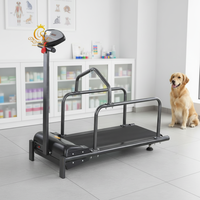 Tapis roulant vétérinaire pour chiens EUR PET, modèle Sport, avec moteur 1,75 CV, idéal pour l'exercice et le dressage des chiens – Nouveauté très demandée