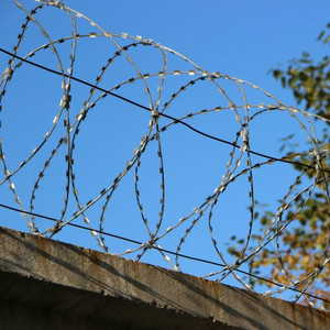 Vendita Calda BTO-25 30 Filo Spinato Zincato a Doppia Bobina in PVC per Recinzioni Protettive in Cantieri e per la Sicurezza del Paese - Product Image 3