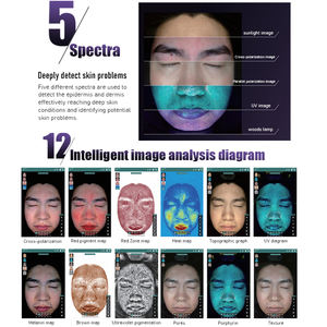 2025 Neueste 5 Lampen 40 Millionen Pixel Ai Haut analyze gerät 30 Indikatoren Hauts canner Maschine - Product Image 2