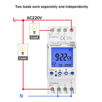 Horloge programmable TM922-12VDC 220V AC 110V Entrée d'alimentation 2 canaux Grand écran LCD avec deux sorties de relais indépendantes