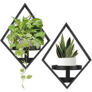 Soporte para plantas transfronterizo, macetero de pared, estante para flores de interior y exterior, decoración de pared, expositor de flores, estantería - Product Image 1