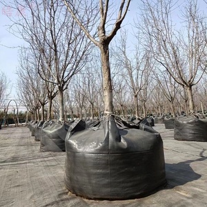 HOKBG Sacchi per <span class=keywords><strong>Piante</strong></span> in Tessuto PP Anti-UV <span class=keywords><strong>da</strong></span> 400 Litri, Resistenti e Traspiranti, per la Coltivazione <span class=keywords><strong>di</strong></span> Fiori e Alberi <span class=keywords><strong>da</strong></span> <span class=keywords><strong>Frutto</strong></span> (Olive), Sacchi <span class=keywords><strong>da</strong></span> Vivaio a Forma <span class=keywords><strong>di</strong></span> Albero - Product Image 2