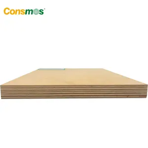 FSC Certified UV Coated Full Birch Plywood For Furniture And Cabinet
