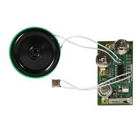 Modul Suara Dapat Direkam Dengan Speaker, Papan Chip Audio yang Dapat Diprogram untuk Mainan Boneka, Kartu & Hadiah DIY