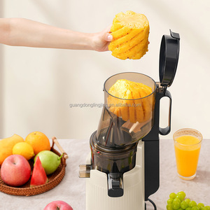 <span class=keywords><strong>Estrattore</strong></span> di <span class=keywords><strong>Succo</strong></span> Elettrico Domestico a Spremitura Lenta, <span class=keywords><strong>Facile</strong></span> da Pulire, per Frutta e Verdura, OEM - Product Image 3