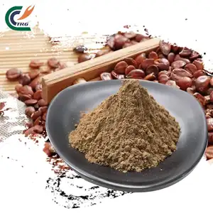 High Quality Date Seed Powder