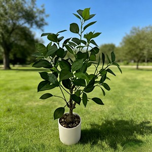 <b>Artificial</b> Banyan <b>Tree</b> Highly realistic <b>Artificial</b> Banyan <b>Tree</b> - Product Image 3