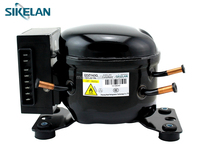 Sikelan série L 12V 24V DC compresseur R600A onduleur climatiseur réfrigérateur compresseur avec L/MBP