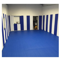 Fighbro Gym Wall Padding