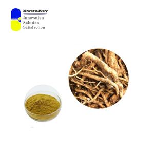 Premium <span class=keywords><strong>Isatidis</strong></span> <span class=keywords><strong>Radix</strong></span> özü 10:1 | Standardize Ban Lan Gen tozu | Doğal Antiviral ve bağışıklık destek maddesi - Product Image 1