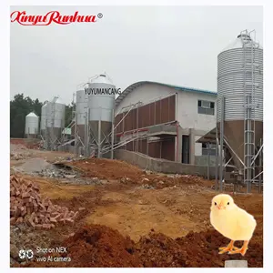 Best Selling Chicken Feed Silo For Poultry Farm Feed Silo Used Feed Storage