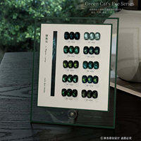 SUUSEEGEL 2026 Nouvelle Collection 10 Couleurs Série Verte Kit de Gel Ongles Effet Œil de Chat Haute Qualité Tendance Non Toxique Gel UV pour Salon Vente en Gros ODM/OEM