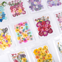 Mini-Vakuumverpackte Blütenblätter Rahmen Gepresste Konservierte Natürliche Pflanzen Getrocknete Blumen für Nägel Kerzen Harz Epoxid Handyhülle
