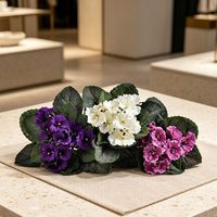 Tanaman Violet Afrika Kecil Ungu Premium 20CM untuk Dekorasi Interior, Desain Floral, Bunga Violet Buatan