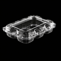 Contenant transparent en PET pour kiwi avec couvercle à charnière pour 6 kiwis entiers, barquette jetable pour fruits, qualité alimentaire, vente en gros, vente au détail, épicerie