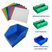 Panneau alvéolaire en PP à double paroi haute résistance 2mm 3mm 6mm, plaque plastique ondulée en polypropylène pour la protection des sols