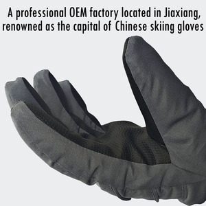 Fournisseur direct d'usine Doublure en polaire extrême <span class=keywords><strong>froid</strong></span> <span class=keywords><strong>Gants</strong></span> de ski d'<span class=keywords><strong>hiver</strong></span> imperméables et respirants pour le snowboard - Product Image 5