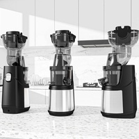 Geoptimaliseerde 250W slowjuicer van roestvrij staal met hoge opbrengst en residu-scheiding voor sinaasappels en ander fruit, koudgeperste sapmachine