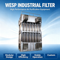 Precipitador Electrostático Industrial (PEI) para Sistemas Comerciales, Eliminación de Polvo en Gases de Combustión de Calderas de Biomasa y Cáscara de Arroz