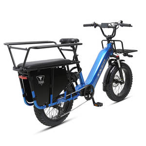 Bicicleta de Carga TXED de Venta Caliente con Neumático Personalizado de 20"x4.0'', Freno de Disco Hidráulico Delantero/Trasero y Motor de Cubo Trasero de 48V/750W - Product Image 4