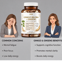Capsules de Ginkgo Biloba et de Ginseng à Marque Privée OEM, 60 Comprimés avec Complément Alimentaire à base de Bacopa