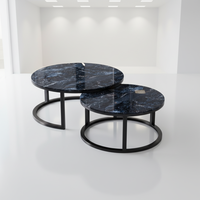Styles populaires, table basse en métal deux pièces, design rond moderne, table de réception de bureau, meubles de maison