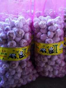 <span class=keywords><strong>Ail</strong></span> frais <span class=keywords><strong>de</strong></span> Chine en sac en filet <span class=keywords><strong>rose</strong></span>, <span class=keywords><strong>ail</strong></span> frais en vrac, <span class=keywords><strong>prix</strong></span> du marché <span class=keywords><strong>de</strong></span> <span class=keywords><strong>l</strong></span>'<span class=keywords><strong>ail</strong></span> blanc - Product Image 3