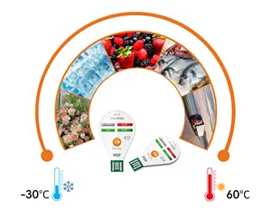 Aikesi Herbruikbare Cold-Chain Usb Pdf En Csv Rapport Temperatuur Data Logger