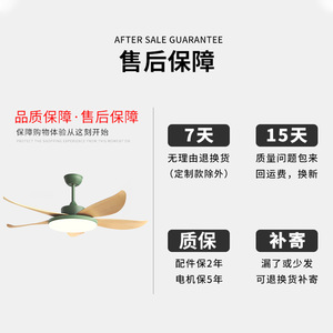 Nordic Style Ceiling Fan Light With Led Light 220V For Living Room Bedroom Fixed Blade Design - Product Image 3