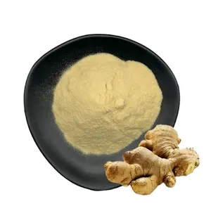 High Quality Natural Ginger Root Powder Market Prices For Ginger Powder Dried Ginger Root Powder