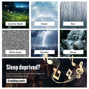 <span class=keywords><strong>3</strong></span> in 1เสียงรบกวนสีขาวช่วยในการนอนหลับลำโพง BT เครื่องกระจายน้ำมันหอมระเหยจำลองไฟกลางคืนช่วยในการนอนหลับเสียงรบกวนสีขาว - Product Image 6