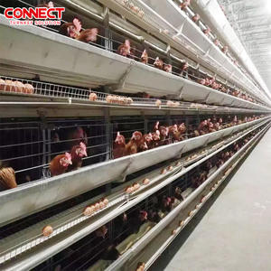 Büyüyen pil yetiştirme için tavuk <span class=keywords><strong>Coop</strong></span> kümes hayvancılığı için komple otomatik hayvancılık hayvan kafes sistemi katmanlı tavuklar yeni - Product Image 1