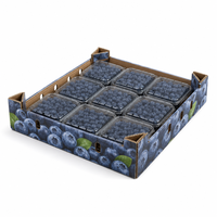 Bac de conditionnement ondulé à haute ventilation pour raisins, plateau maître empilable à ouverture supérieure pour fruits frais, destiné à l'exportation et au stockage frigorifique