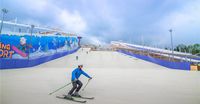 2025 Offre Spéciale bleu blanc aiguille champignon sec tapis de ski tapis extérieur parc jardin artificiel neige sèche pistes de ski piste