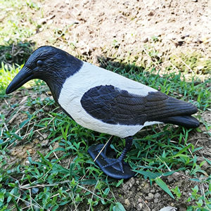 Décoys de chasse au pigeon peints réalistes en gros, en PE écologique, pour la chasse en extérieur - Product Image 5