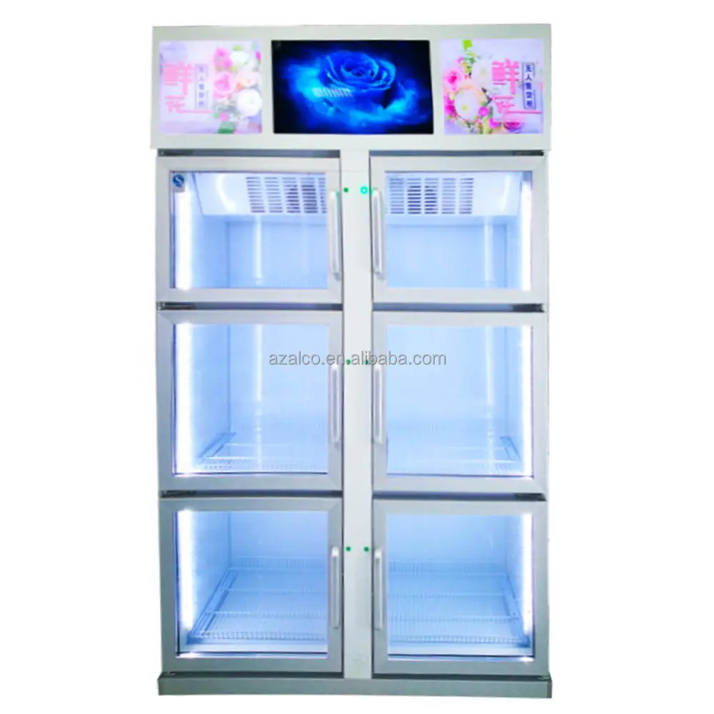 New fresh floss vegetable fruit flower lattice vending machine temperature control high quality tested by market for 4 year